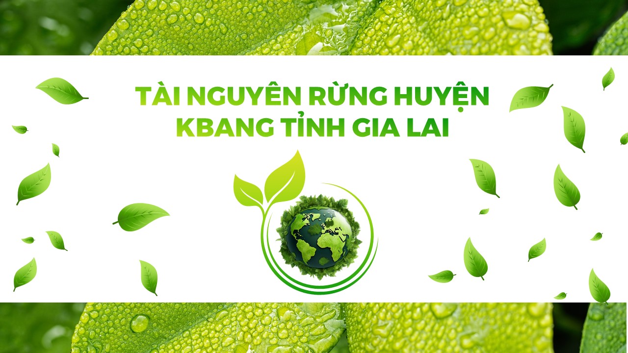 Powerpoint nội dung theo chủ đề